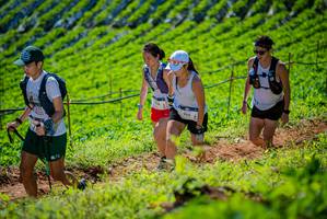 BIB: 905
                            <button type="button" onclick="openModal(19162695)" class="btn btn-primary btn-sm float-right btn-popup" data-toggle="modal" data-target=".modal-high-quality">
                        <i class="fas fa-shopping-cart"></i> Add to Cart
                    </button>
                                            <button type="button" onclick="isThisMe(19162695, true)" class="btn btn-success btn-sm float-right btn-popup btn-isme hidden" data-toggle="tooltip" data-placement="bottom" title="นี่คือรูปของคุณใช่ไหม คลิกที่นี่เพื่อเอาเข้าอัลบั้ม">
                        <i class="fas fa-plus"></i> Add to album
                    </button>
                    <button type="button" onclick="isThisMe(19162695, false)" class="btn btn-warning btn-sm float-right btn-popup btn-isnotme hidden">
                        <i class="fas fa-ban"></i> Remove from album
                    </button>